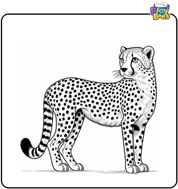Simple Cheetah Looking Sideways Coloring Page Simple Cheetah Looking Sideways Coloring Page