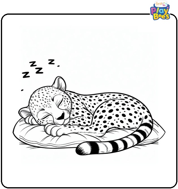 Sleeping Cheetah Coloring Page Sleeping Cheetah Coloring Page