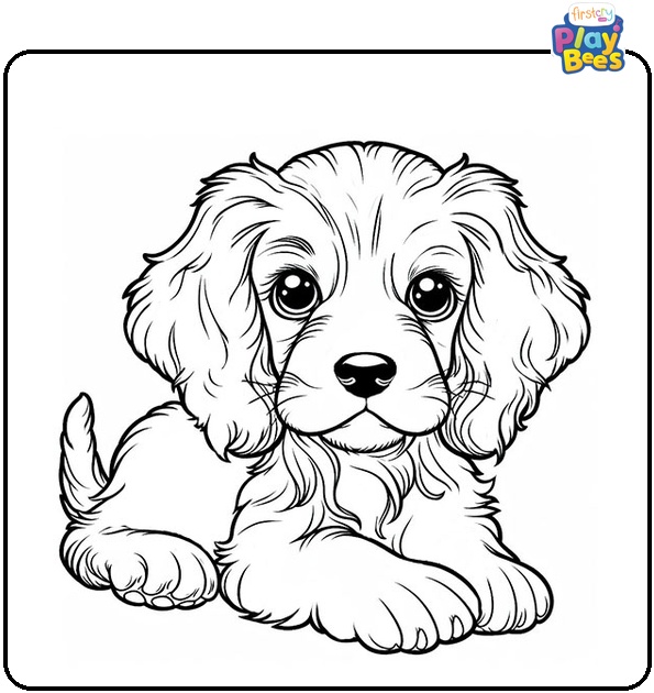 Spaniel Puppy Coloring Page Spaniel Puppy Coloring Page