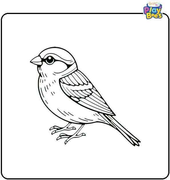 Sparrow Bird Coloring Page