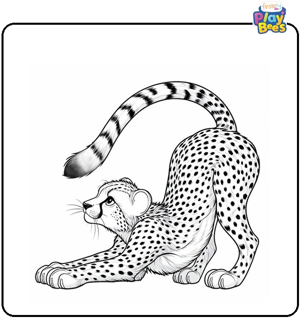 Stretching Cheetah Coloring Page Stretching Cheetah Coloring Page