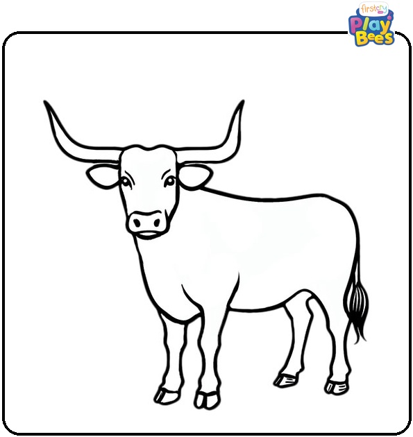 Texas Longhorn Cow Coloring Page Texas Longhorn Cow Coloring Page