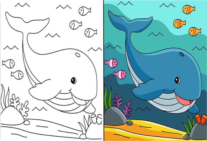 Whale Coloring Pages – Free Printable Sheets & Pictures