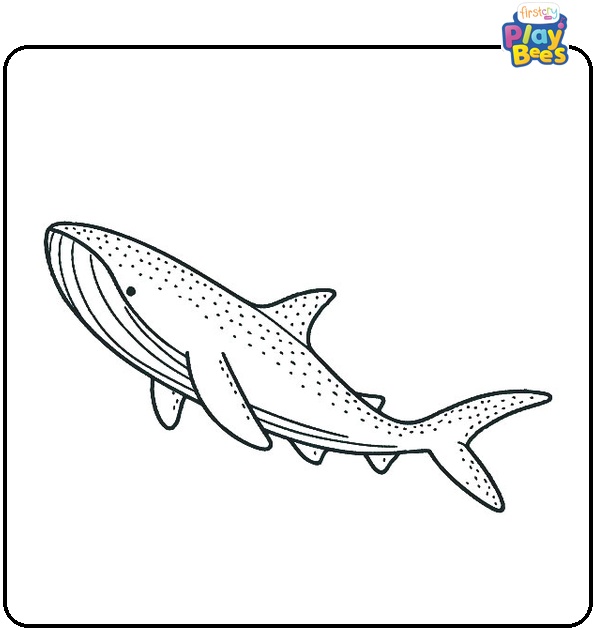 Whale Shark Coloring Page Whale Shark Coloring Page