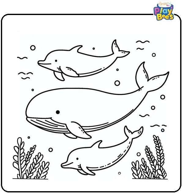 Whale and Dolphins Coloring Page Whale and Dolphins Coloring Page