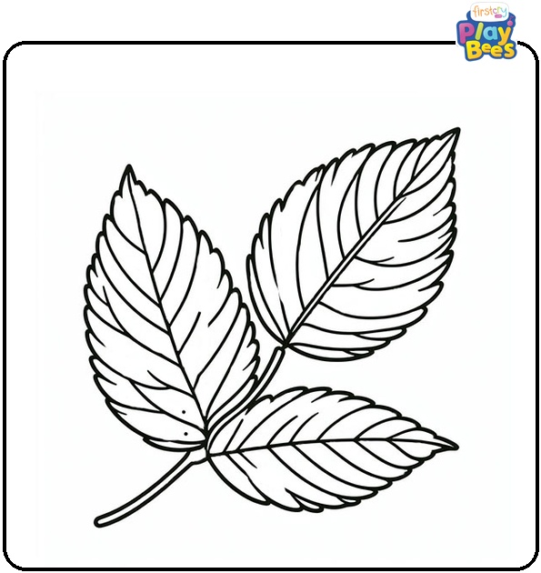 Wild Cherry Leaf Coloring Page Wild Cherry Leaf Coloring Page