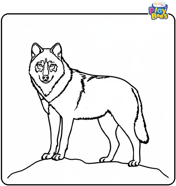 Wolf Standing on a Mountain Coloring Page Wolf Standing on a Mountain Coloring Page