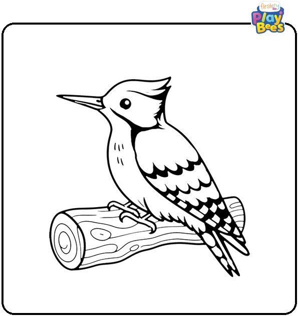 Woodpecker Bird Coloring Page