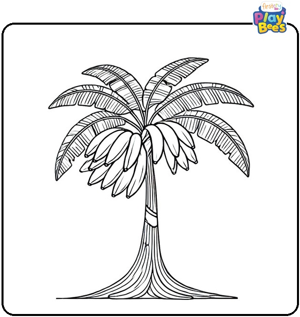 Banana Tree Coloring Page Banana Tree Coloring Page