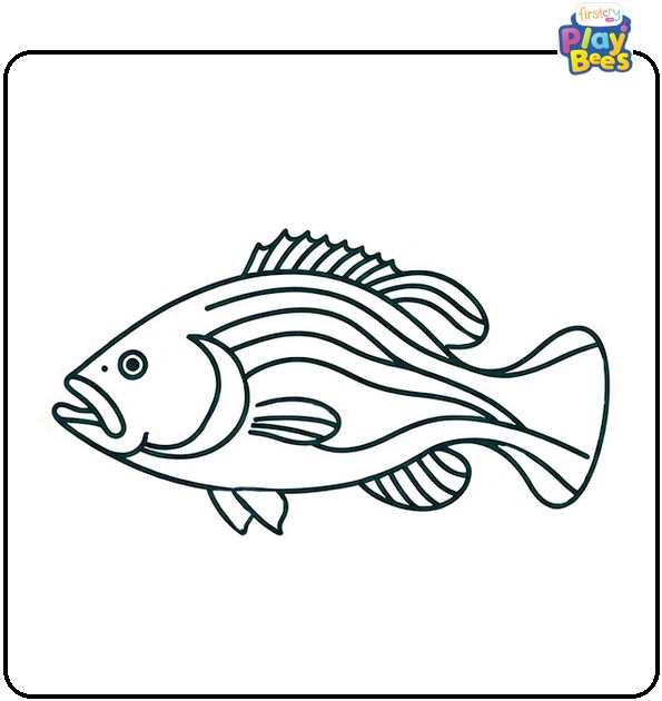 Bass Fish Coloring Page Bass Fish Coloring Page