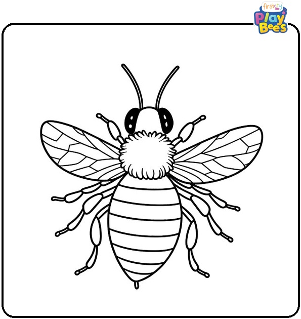 Bee Coloring Page Bee Coloring Page