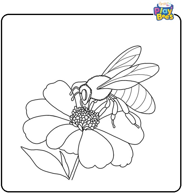 Bee on the Flower Coloring Page