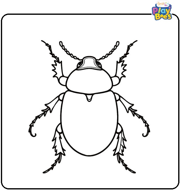 Beetle Coloring Page Beetle Coloring Page