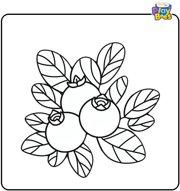 Blueberry Coloring Page