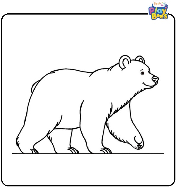 Brown Bear Coloring Page