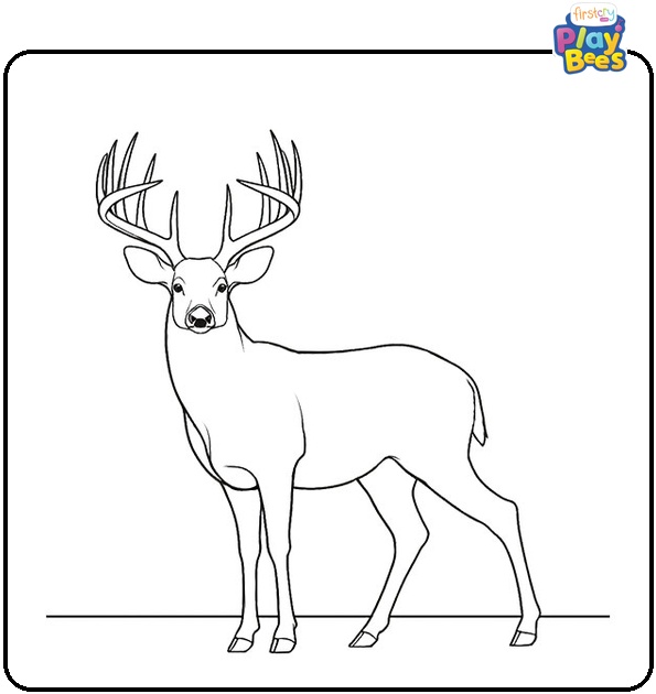Buck Deer Coloring Page