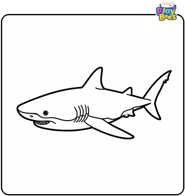 Bull Shark Colouring Page