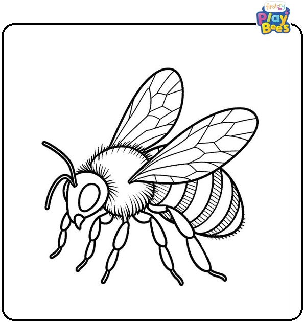 BumbleBee Coloring Page