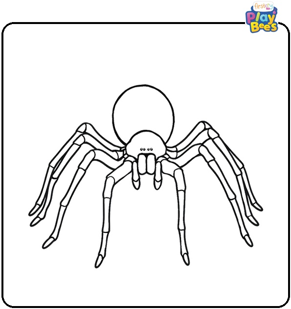 Camel Spider Coloring Page