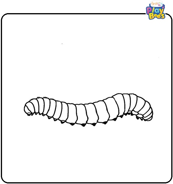 Caterpillar Coloring Page Caterpillar Coloring Page