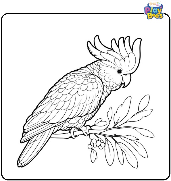 Cockatoo Parrot Coloring Page Cockatoo Parrot Coloring Page
