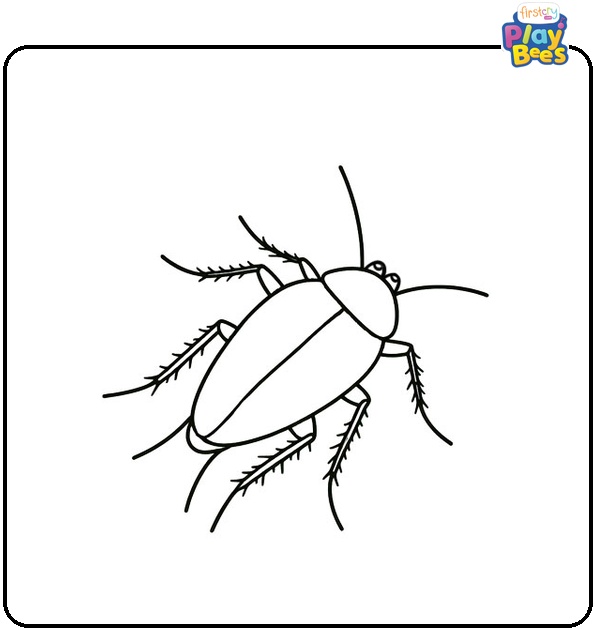 Cockroach Coloring Page Cockroach Coloring Page