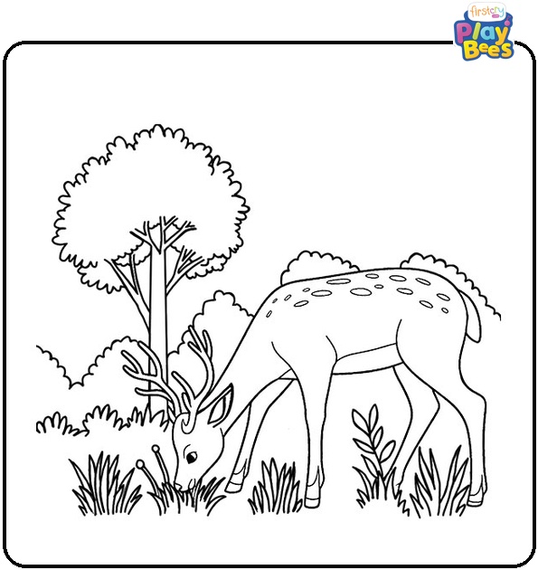 Deer Eating Grass in Forest Coloring Page