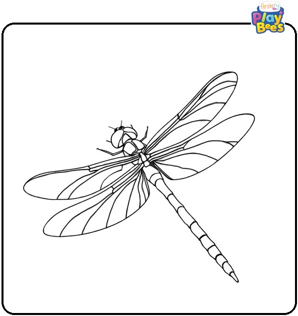 Dragonfly Coloring Page Dragonfly Coloring Page