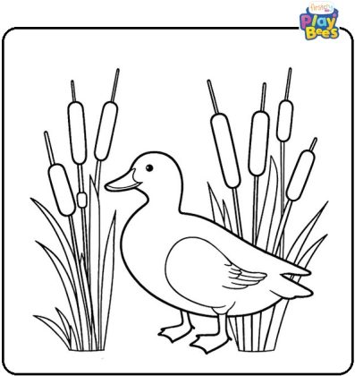 Duck Coloring Pages – Free Printable Sheets & Pictures