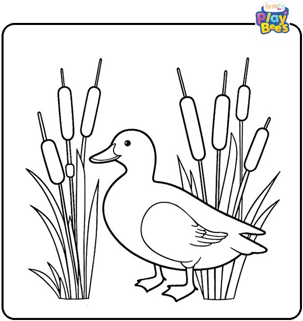Duck in Cattails Coloring Page