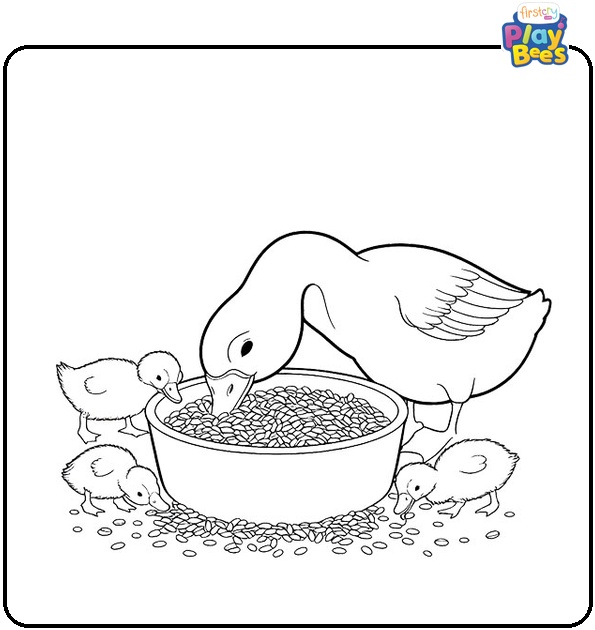 Ducks Eating Grains Coloring Page