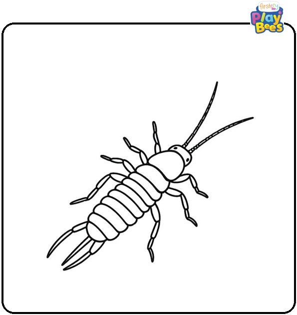 Earwig Coloring Page Earwig Coloring Page