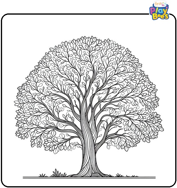Elm Tree Coloring Page Elm Tree Coloring Page