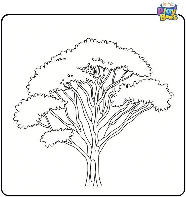 Eucalyptus Tree Coloring Page Eucalyptus Tree Coloring Page