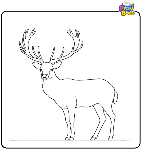 Fallow Deer Coloring Page