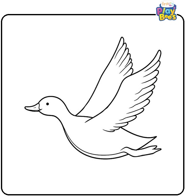 Flying Duck Coloring Page
