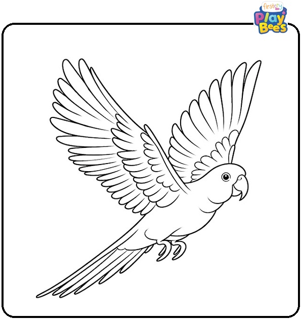 Flying Parrot Coloring Page Flying Parrot Coloring Page