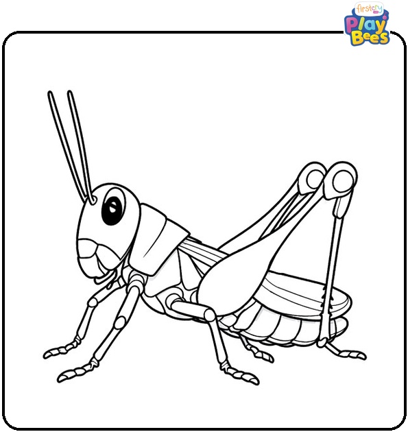 Grasshopper Coloring Page Grasshopper Coloring Page