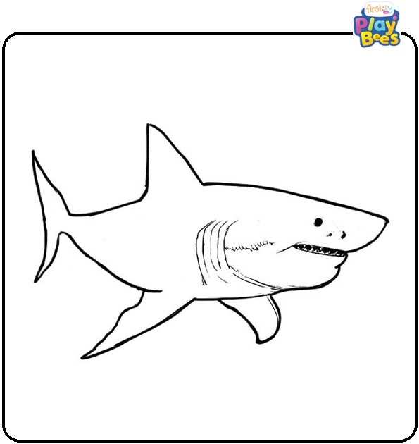 Great White Shark Colouring Page