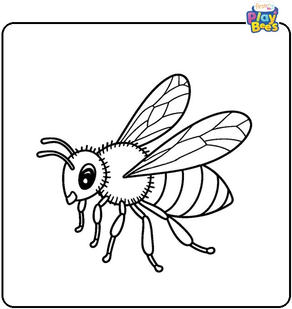 Honey Bee Coloring Page Honey Bee Coloring Page