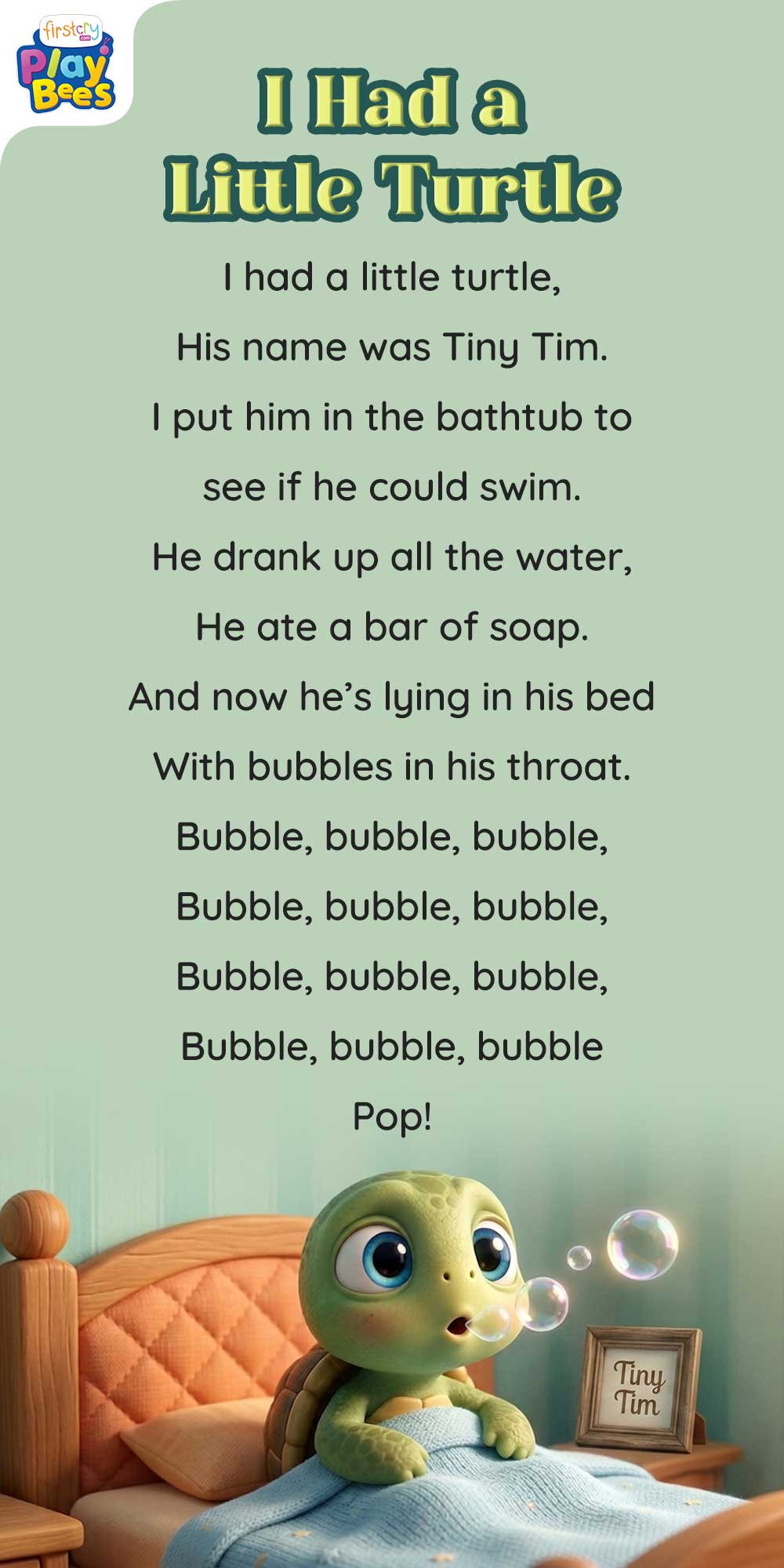 I Had a Little Turtle Song Lyrics