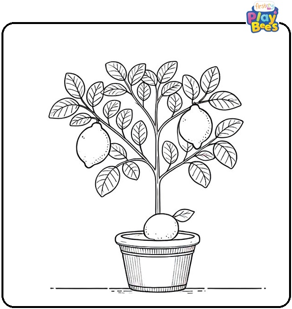 Lemon Tree Coloring Page Lemon Tree Coloring Page