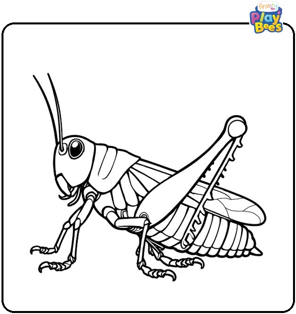 Locust Coloring Page Locust Coloring Page