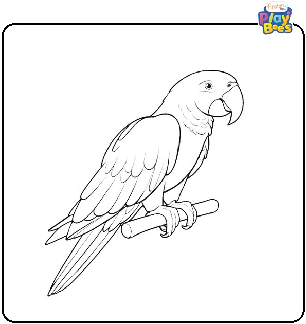 Macaw Parrot Coloring Page Macaw Parrot Coloring Page