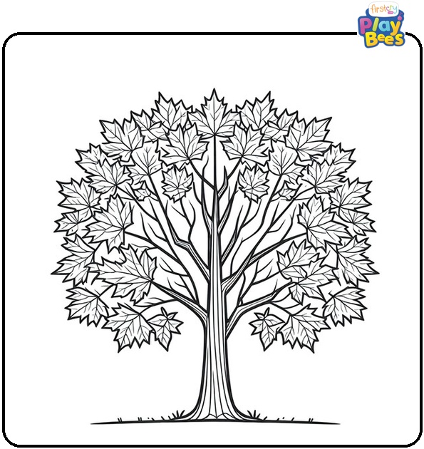 Maple Tree Coloring Page Maple Tree Coloring Page
