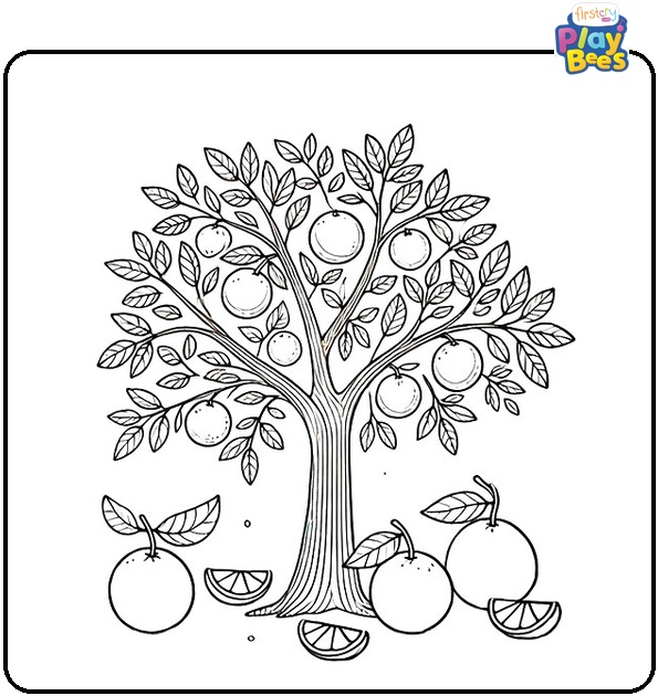 Orange Tree Coloring Page Orange Tree Coloring Page