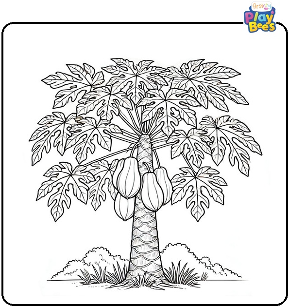 Papaya Tree Coloring Page Papaya Tree Coloring Page