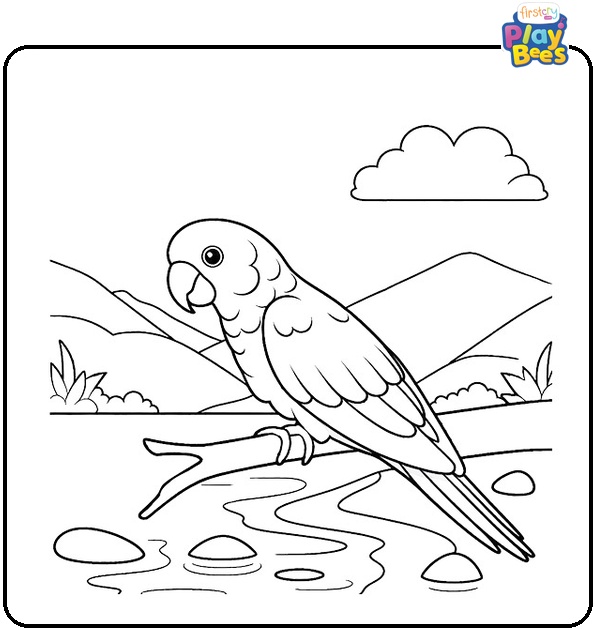 Parrot Near River Coloring Page Parrot Near River Coloring Page