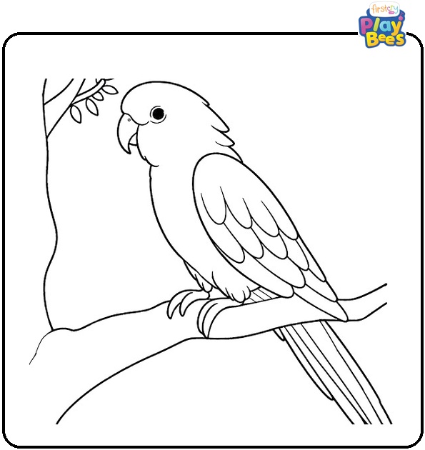 Parrot Sitting on a Branch Coloring Page Parrot Sitting on a Branch Coloring Page