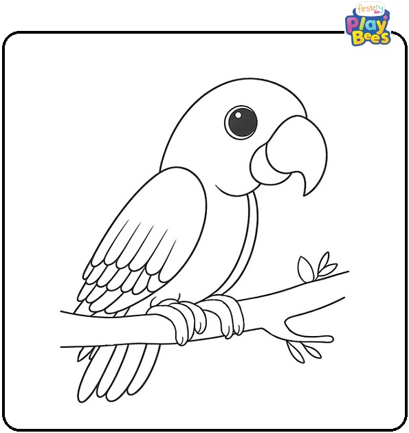 Parrot with Large Beak Coloring Page Parrot with Large Beak Coloring Page